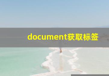 document获取标签