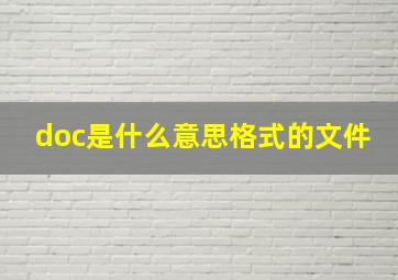 doc是什么意思格式的文件