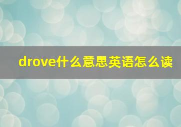 drove什么意思英语怎么读