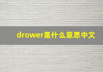 drower是什么意思中文