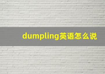 dumpling英语怎么说