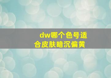 dw哪个色号适合皮肤暗沉偏黄