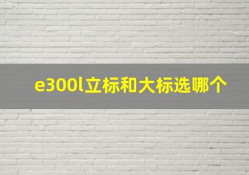 e300l立标和大标选哪个