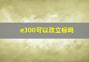 e300可以改立标吗