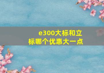 e300大标和立标哪个优惠大一点