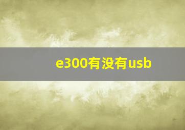 e300有没有usb