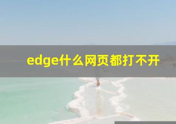 edge什么网页都打不开