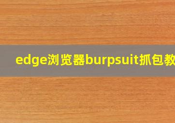 edge浏览器burpsuit抓包教程