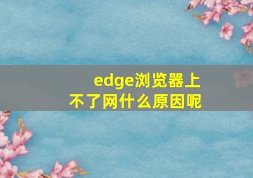 edge浏览器上不了网什么原因呢