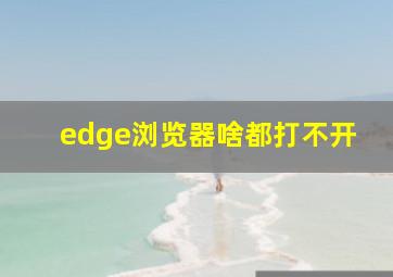 edge浏览器啥都打不开