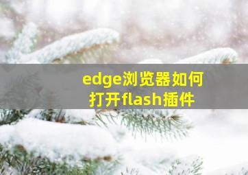 edge浏览器如何打开flash插件