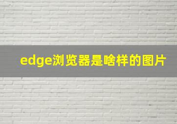 edge浏览器是啥样的图片