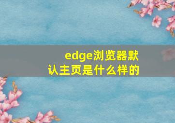 edge浏览器默认主页是什么样的