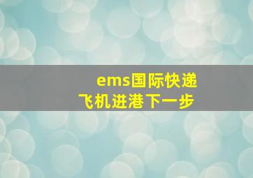 ems国际快递飞机进港下一步