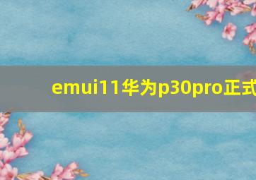 emui11华为p30pro正式