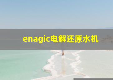 enagic电解还原水机