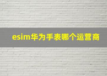 esim华为手表哪个运营商