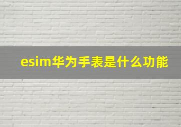 esim华为手表是什么功能