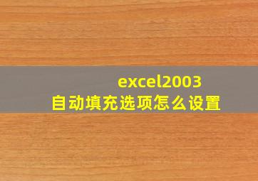 excel2003自动填充选项怎么设置