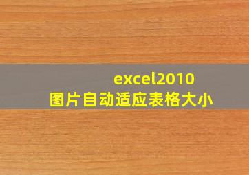 excel2010图片自动适应表格大小