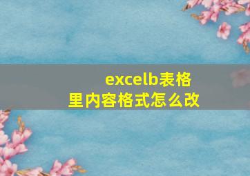 excelb表格里内容格式怎么改