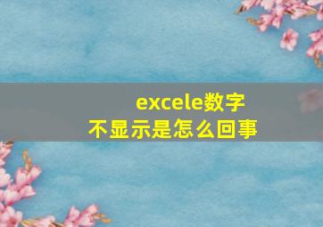 excele数字不显示是怎么回事