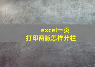 excel一页打印两版怎样分栏