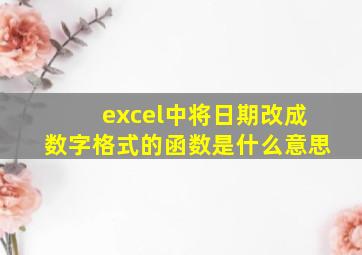 excel中将日期改成数字格式的函数是什么意思