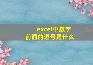 excel中数字前面的逗号是什么