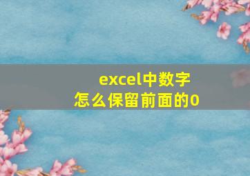 excel中数字怎么保留前面的0