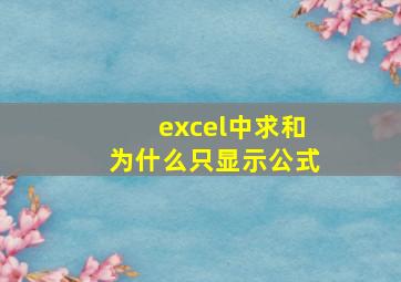 excel中求和为什么只显示公式