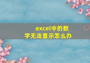 excel中的数字无法显示怎么办