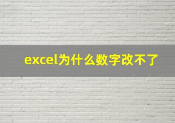 excel为什么数字改不了