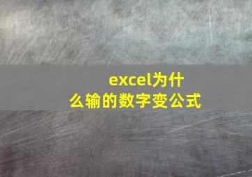 excel为什么输的数字变公式