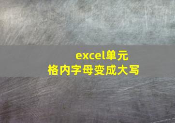 excel单元格内字母变成大写