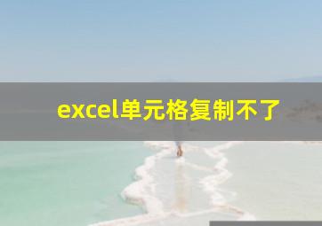 excel单元格复制不了