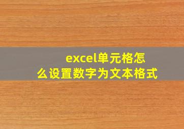 excel单元格怎么设置数字为文本格式