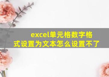 excel单元格数字格式设置为文本怎么设置不了