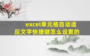 excel单元格自动适应文字快捷键怎么设置的