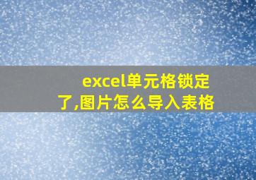 excel单元格锁定了,图片怎么导入表格