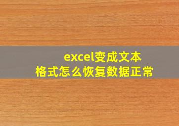 excel变成文本格式怎么恢复数据正常