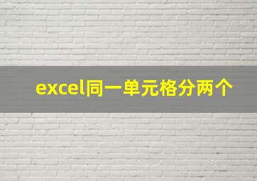 excel同一单元格分两个