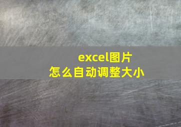 excel图片怎么自动调整大小