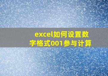 excel如何设置数字格式001参与计算