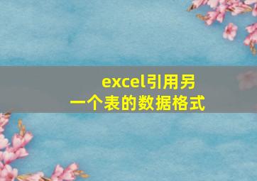 excel引用另一个表的数据格式