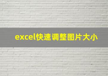 excel快速调整图片大小