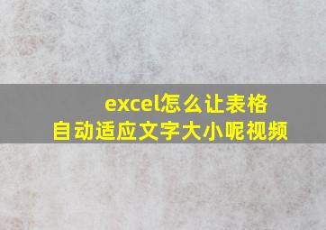 excel怎么让表格自动适应文字大小呢视频