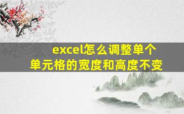 excel怎么调整单个单元格的宽度和高度不变