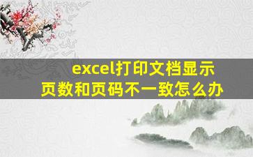 excel打印文档显示页数和页码不一致怎么办