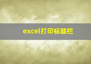 excel打印标题栏